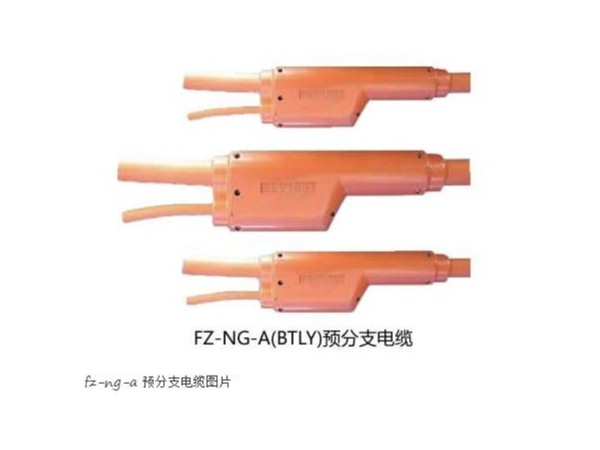 FZ-NG-A(FZ-<i style='color:red'>btly</i>)防火分支電纜